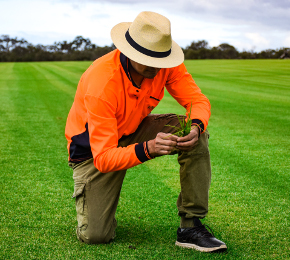 turf-inspection-in-perth