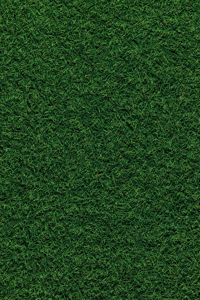 Choose the suitable turf | Right turf | turf in Perth | Turf