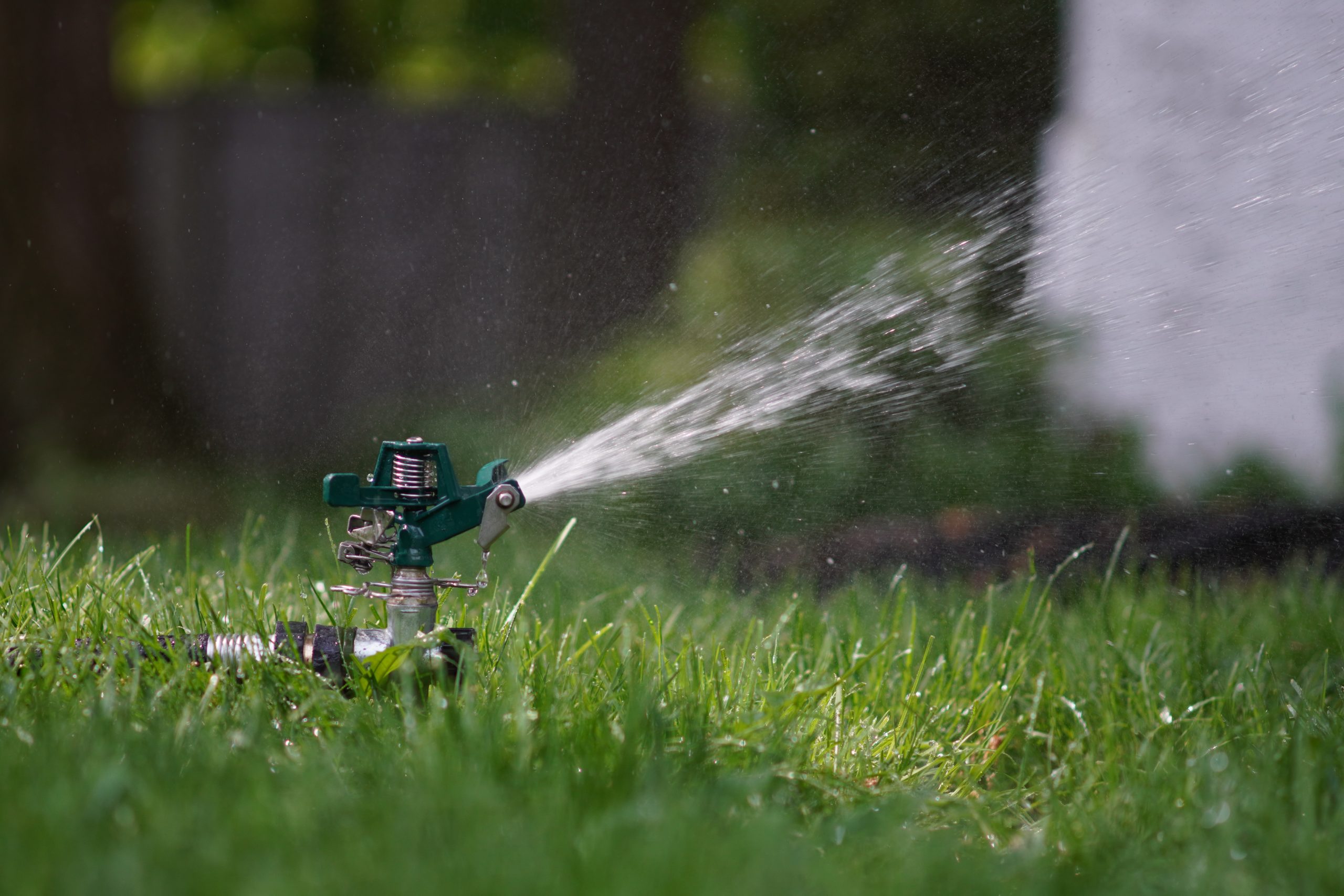 watering-lawn-in-summer
